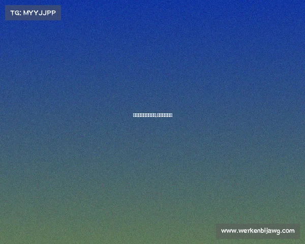 外国动画片电子竞技,竞技类动画片